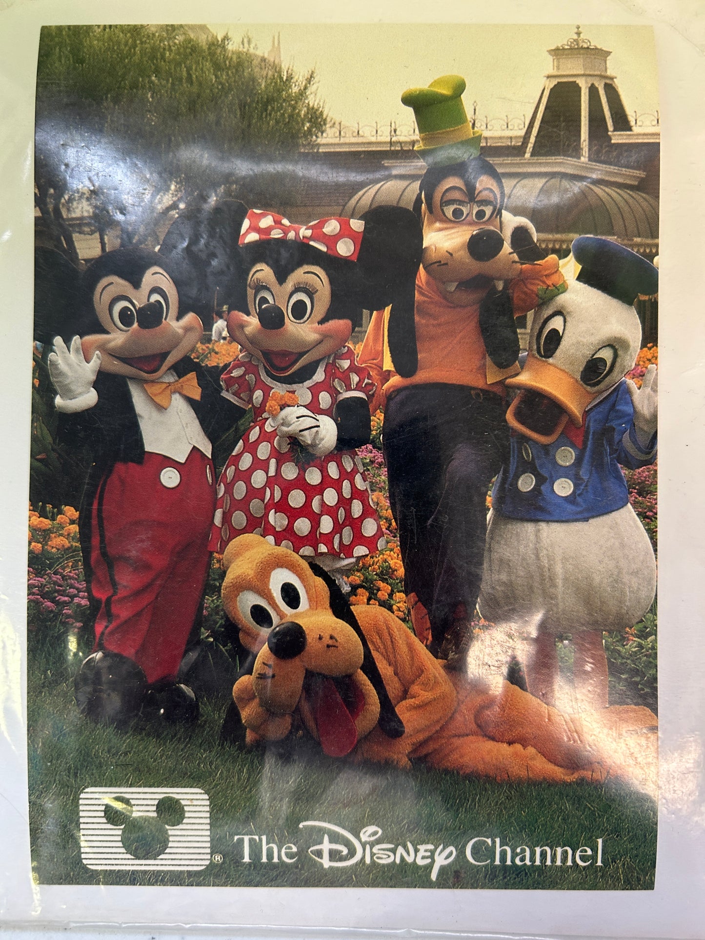 1986 DISNEY CHANNEL Press Photo with Postcard - Mickey Mouse Donald Duck Goofy Pluto